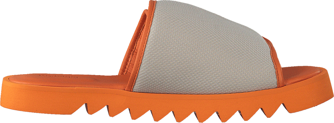 Micki Camel
