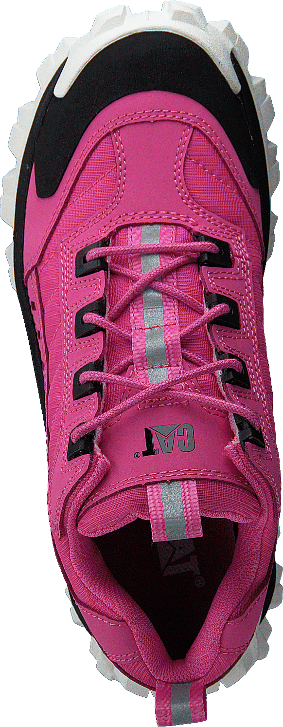 Intruder Azelea Pink