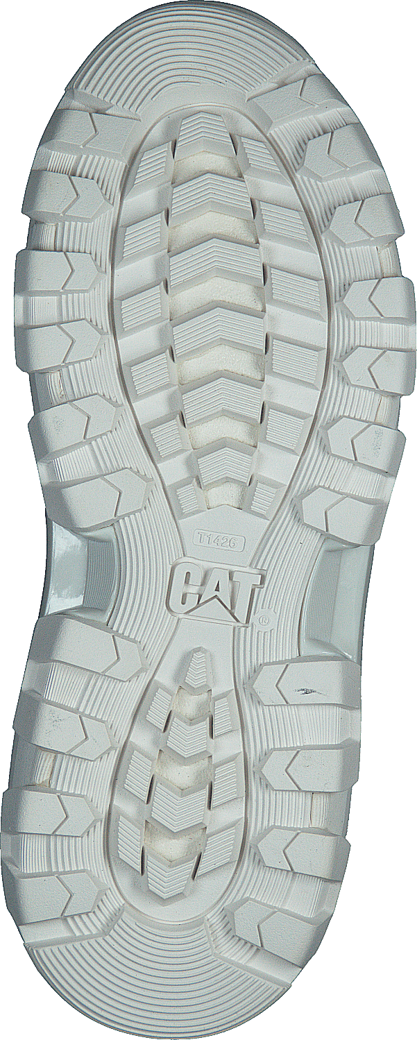 Raider Sport Gardenia