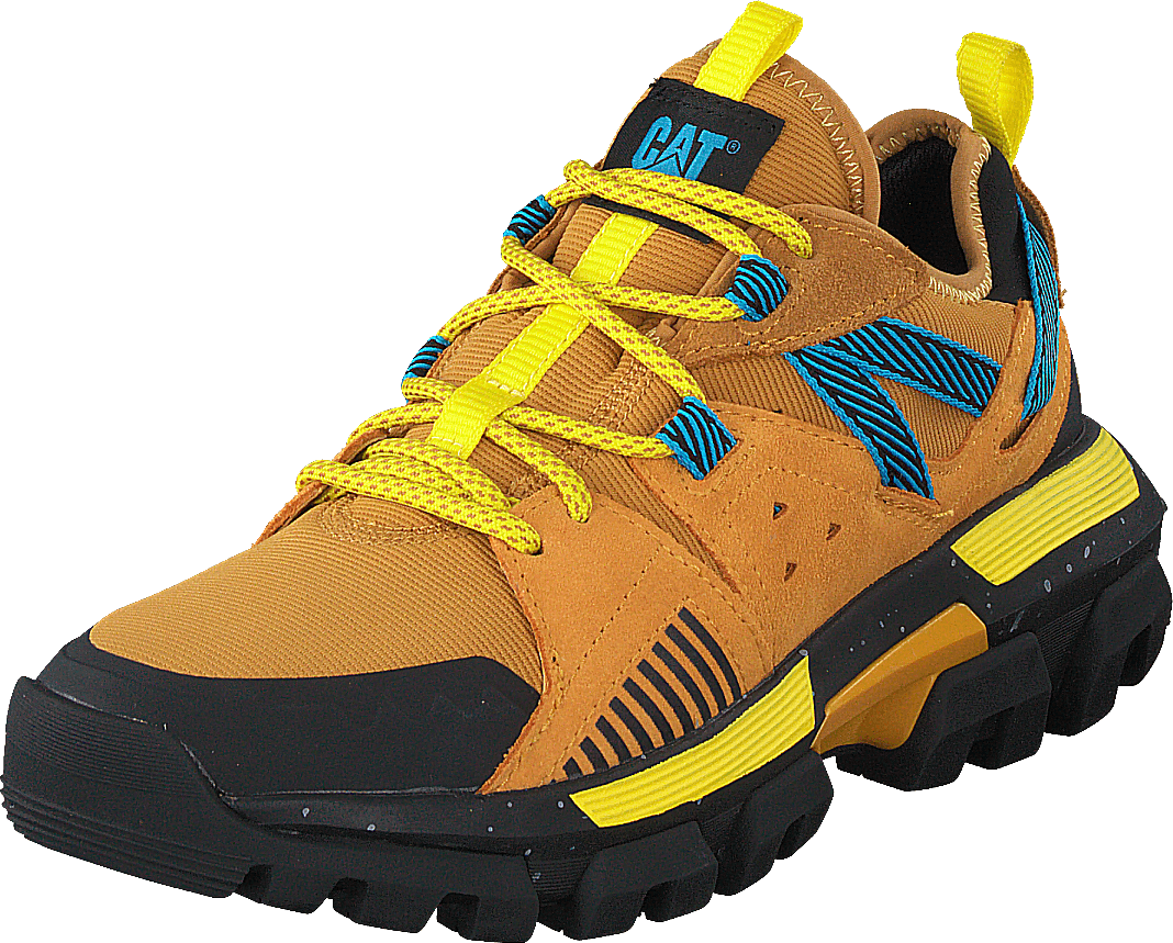 Raider Sport Spruce Jaune/Jaune Cadmium