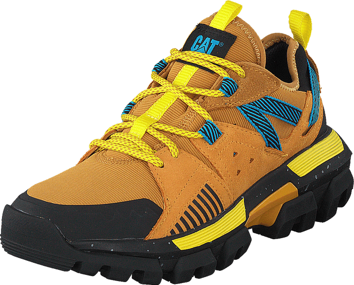 Raider Sport Spruce Jaune/Jaune Cadmium