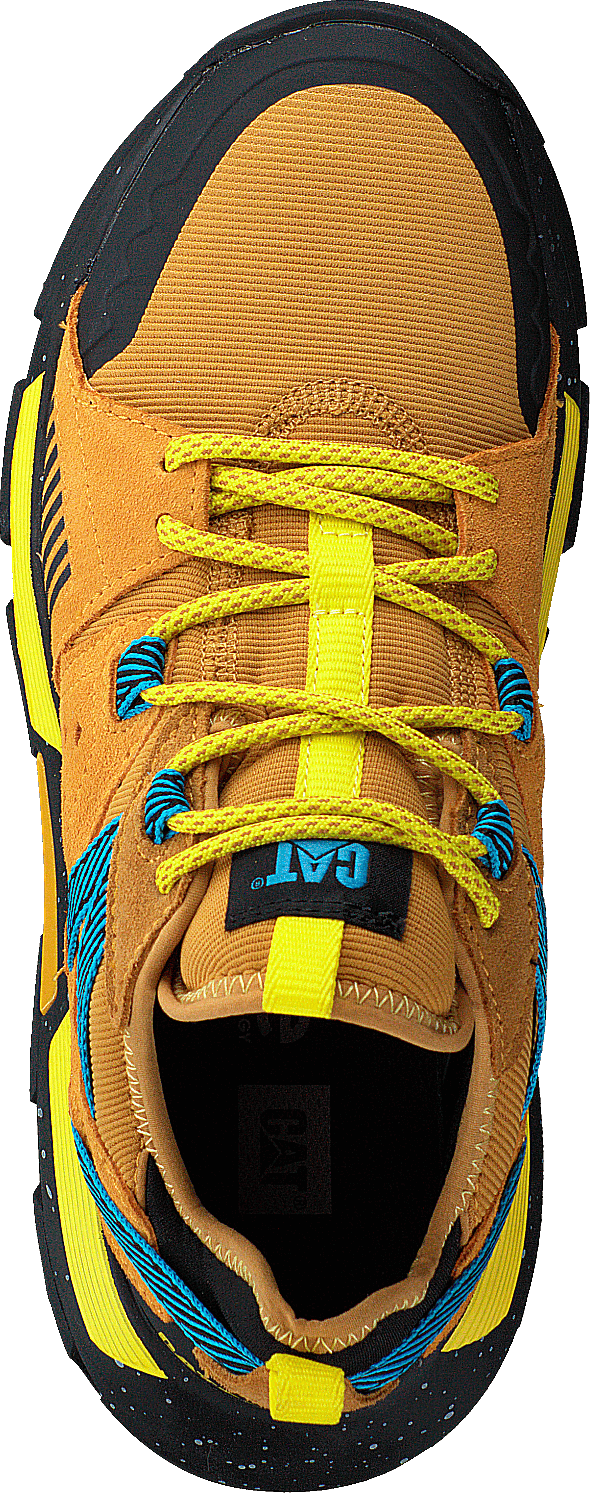 Raider Sport Spruce Jaune/Jaune Cadmium