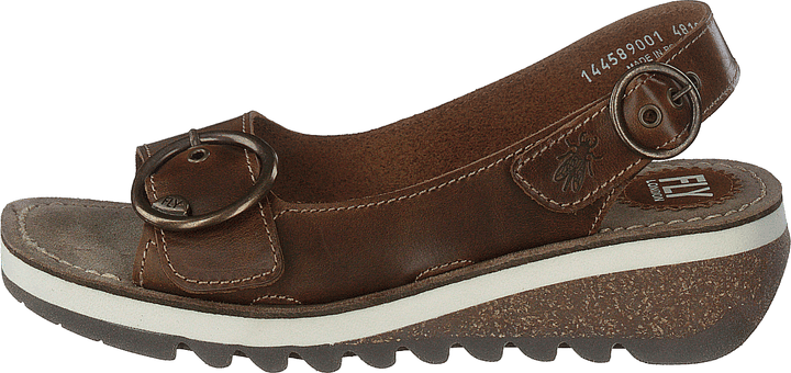 Tram 2 Bridle-camel