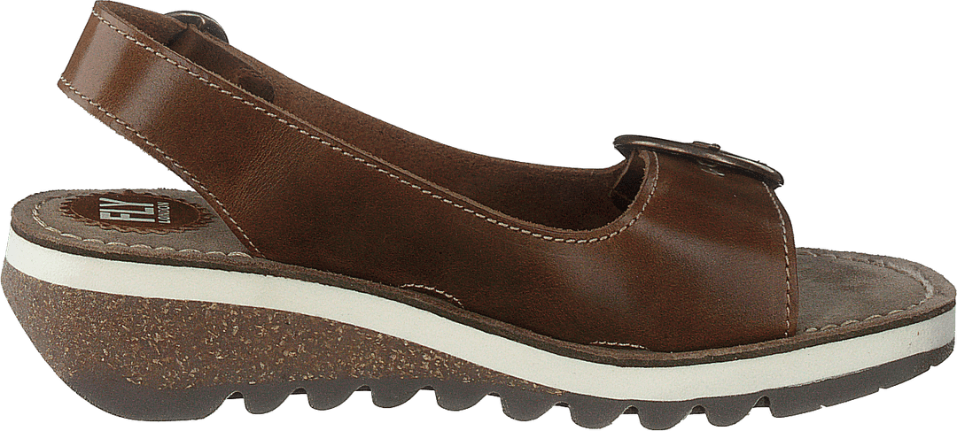 Tram 2 Bridle-camel
