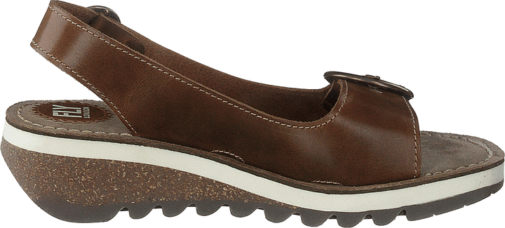 Tram 2 Bridle-camel