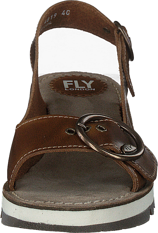 Tram 2 Bridle-camel