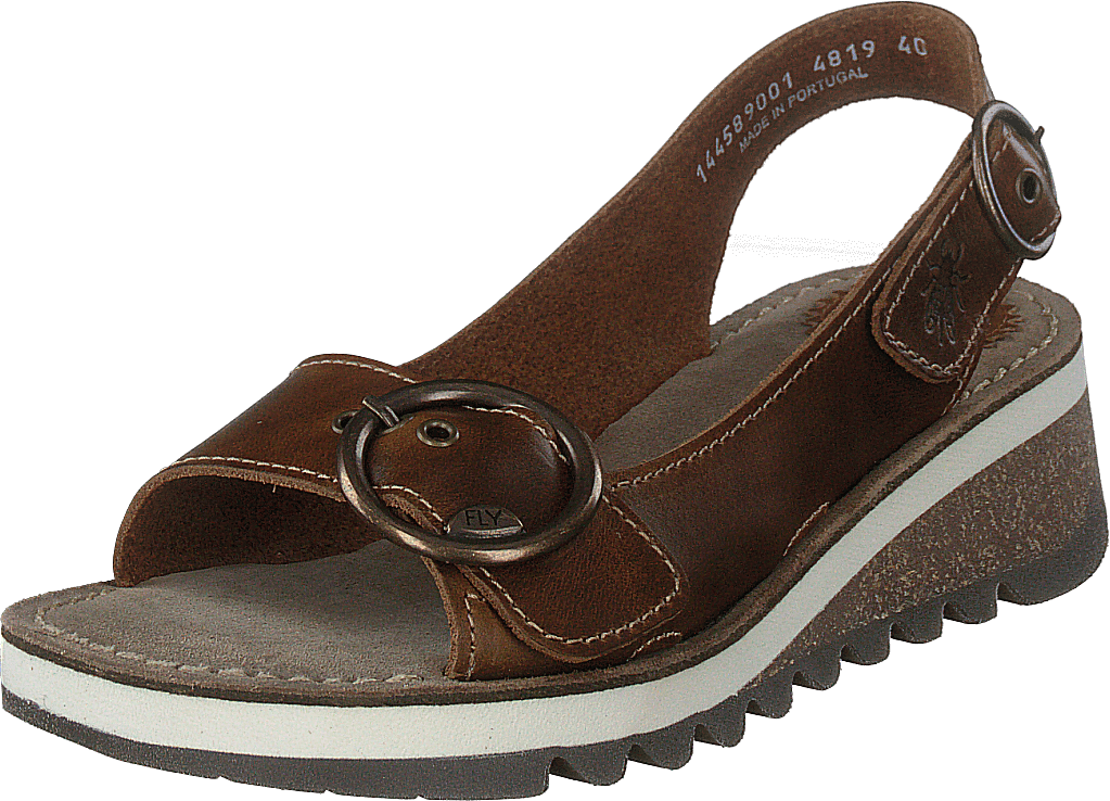 Tram 2 Bridle-camel