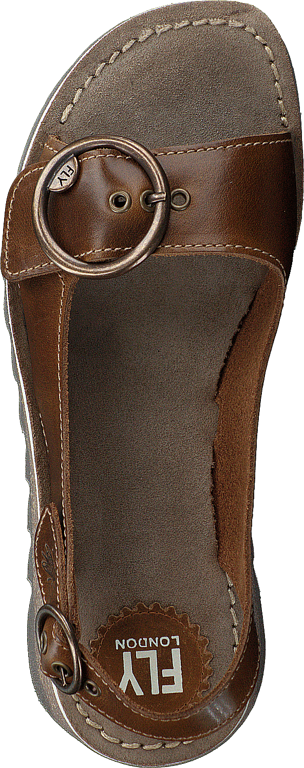 Tram 2 Bridle-camel