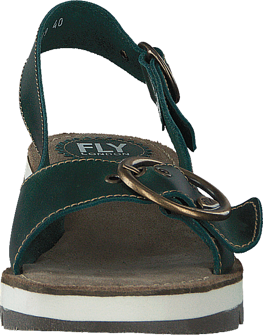 Tram 2 Bridle-petrol