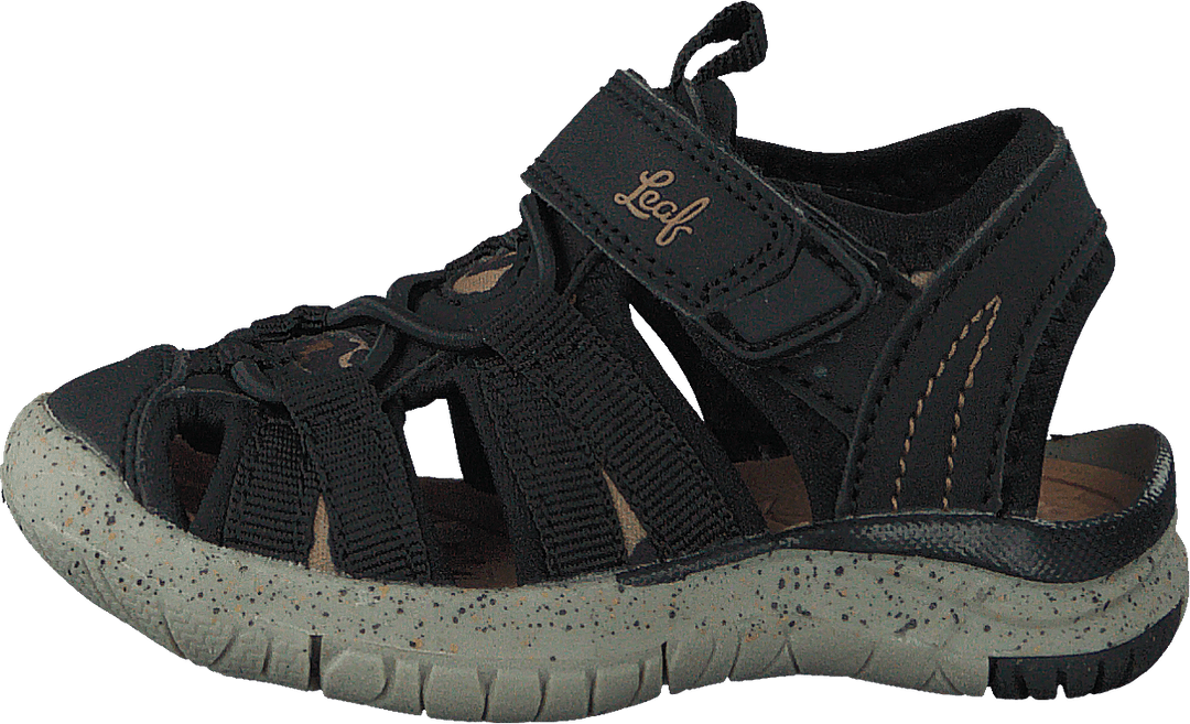 Salo Leopard