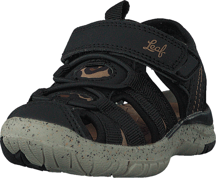 Salo Leopard