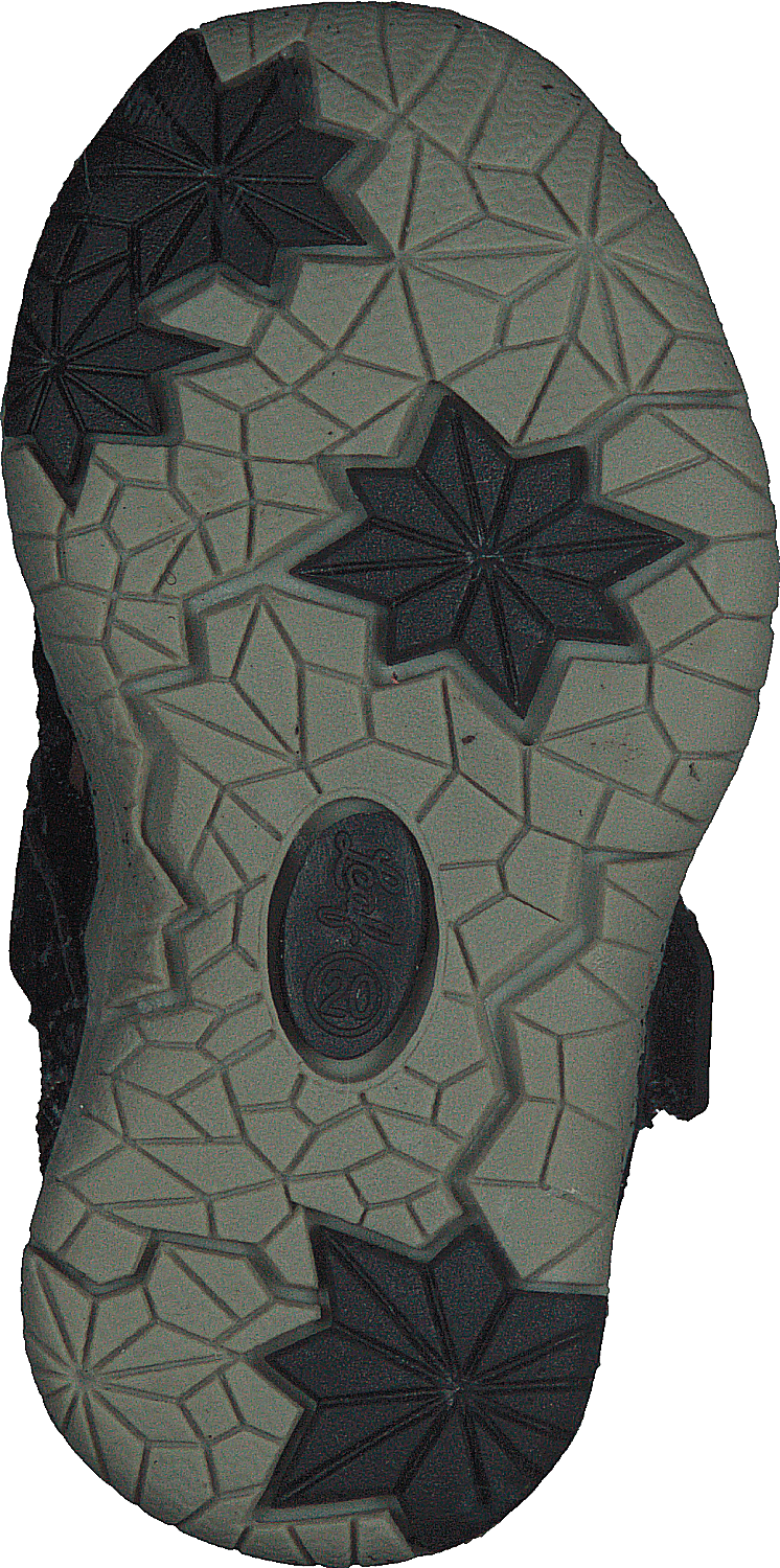 Salo Leopard