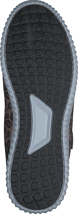 Glomma Leopard