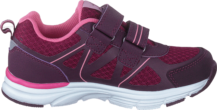 Hamar Lilac