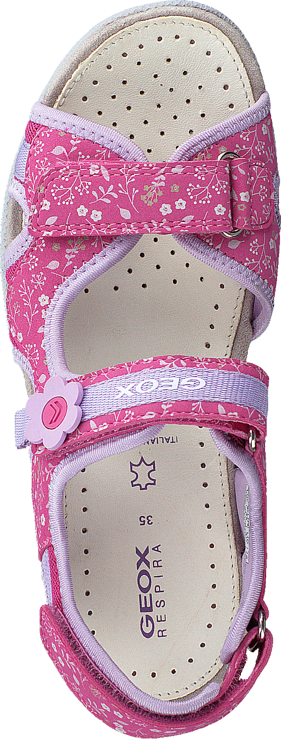 Jr Sandal Roxanne Fuchsia/lilac