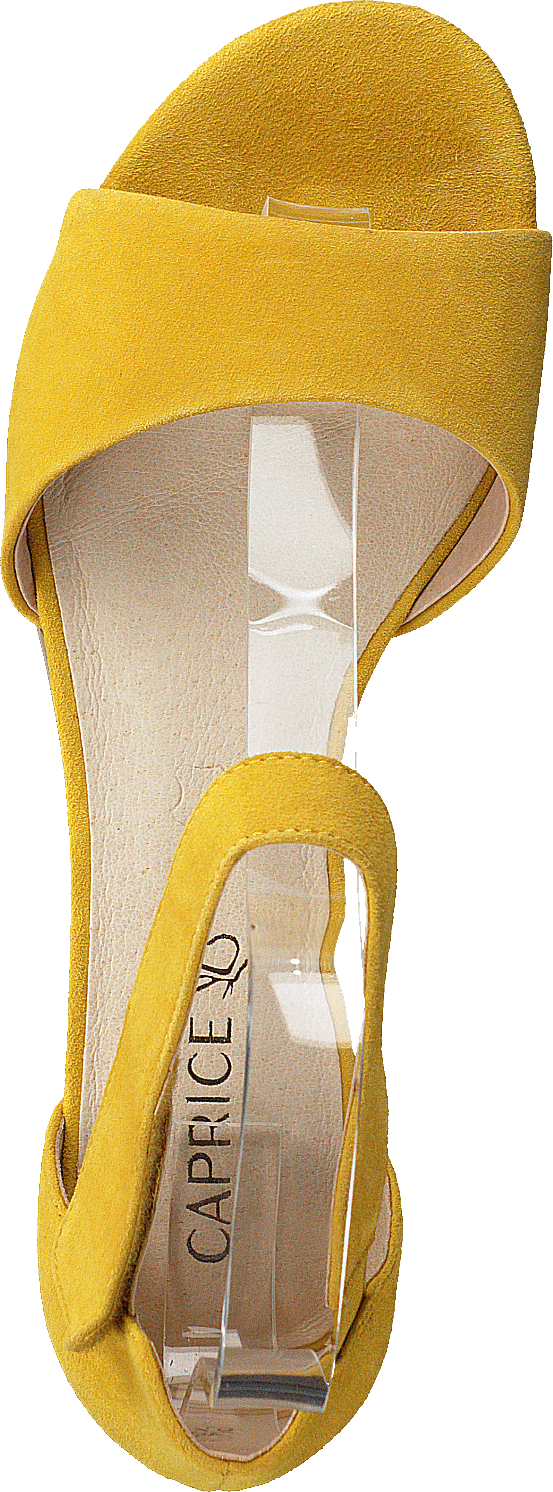 Carla Daim Jaune