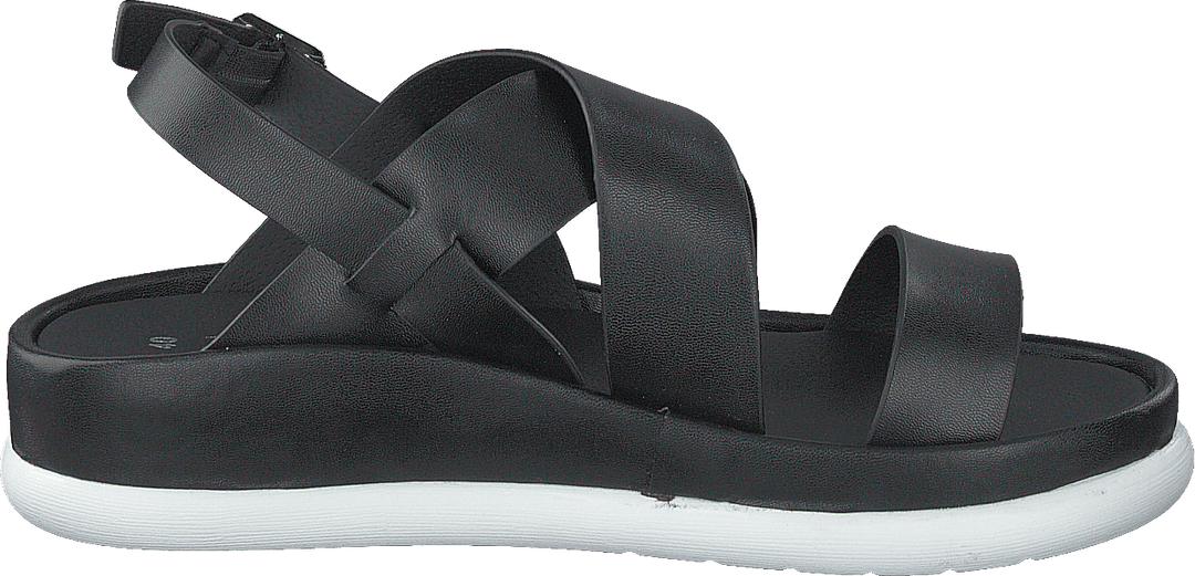 97-09095 Noir