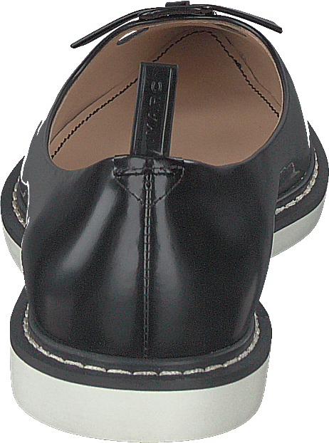 La chaussure de souris noire