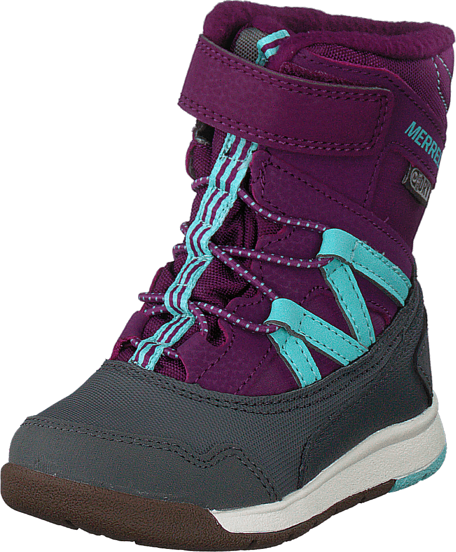 Snow Crush Wtpf Lila/turkos