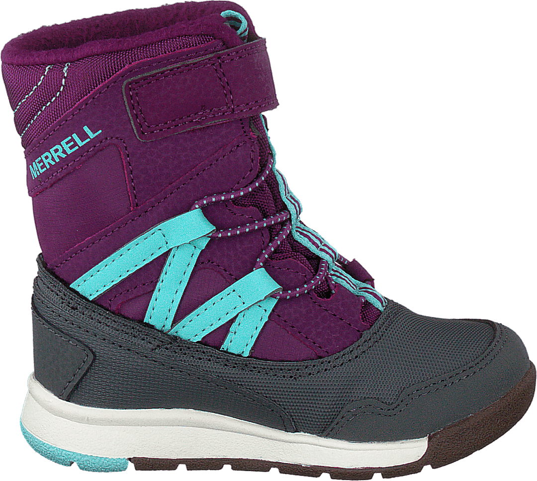 Snow Crush Wtpf Lila/turkos