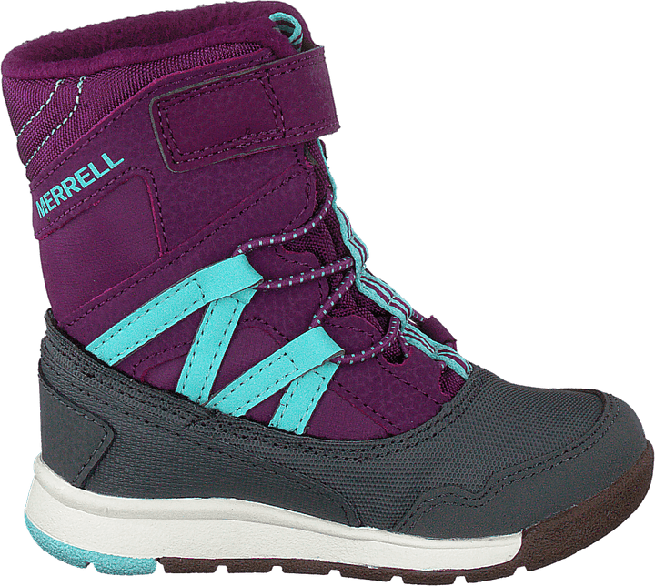 Snow Crush Wtpf Lila/turkos