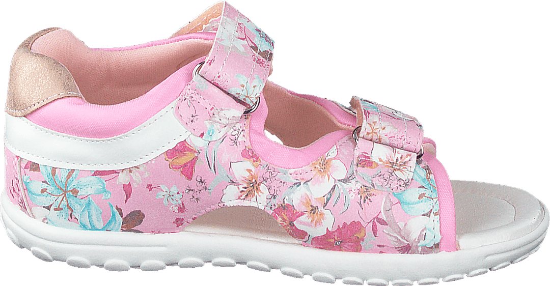 423-5024 Rosa