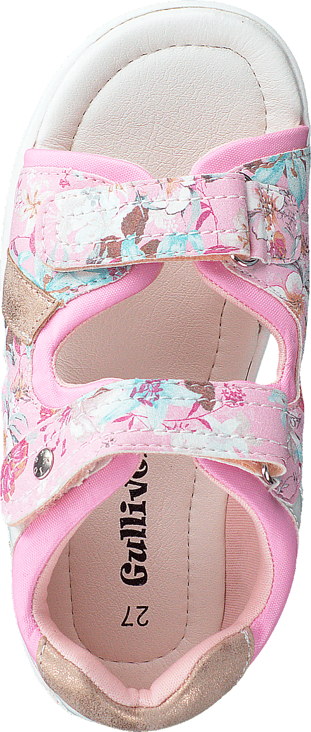 423-5024 Rosa