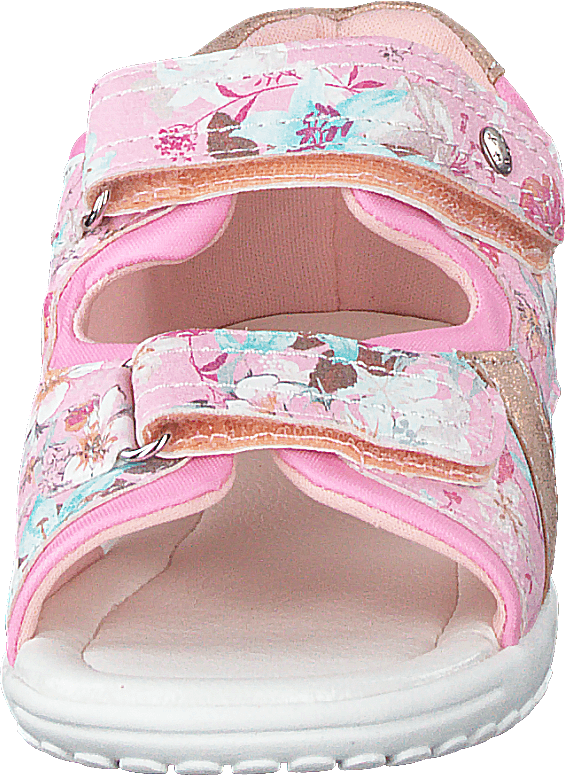 423-5024 Rosa