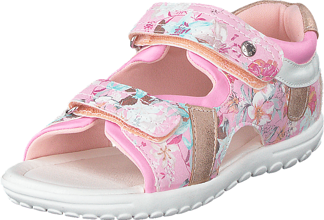 423-5024 Rosa