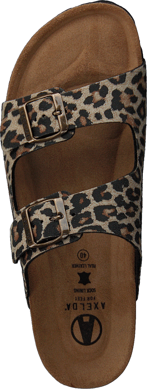 Charlie Chestnut/leopard