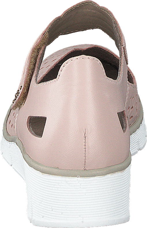537j7-31 Altrosa