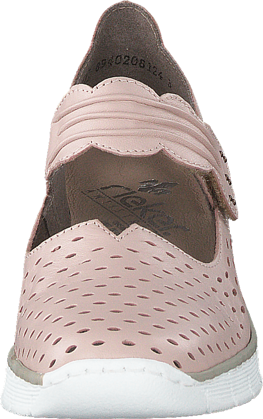 537j7-31 Altrosa