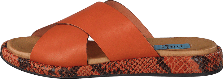 13-13101 Arancio