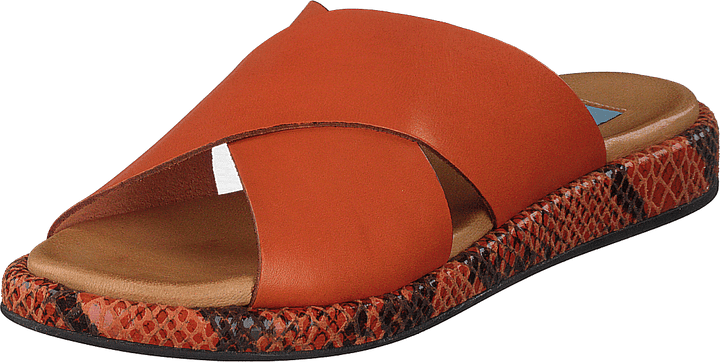 13-13101 Arancio