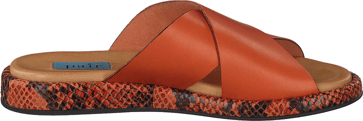 13-13101 Arancio