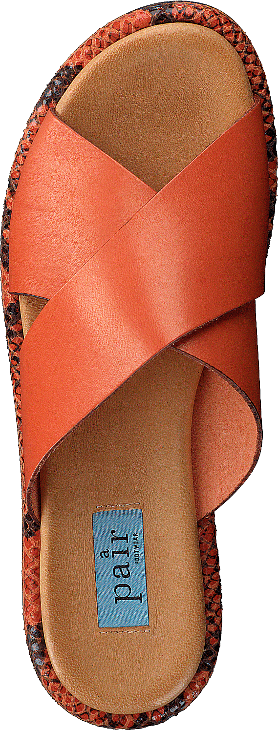 13-13101 Arancio