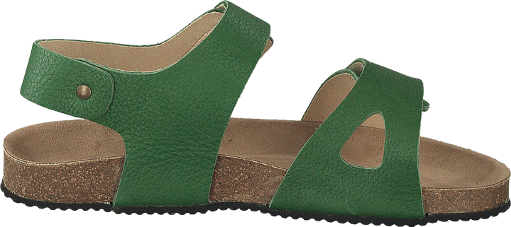 Boomhouse Ep Forest Green