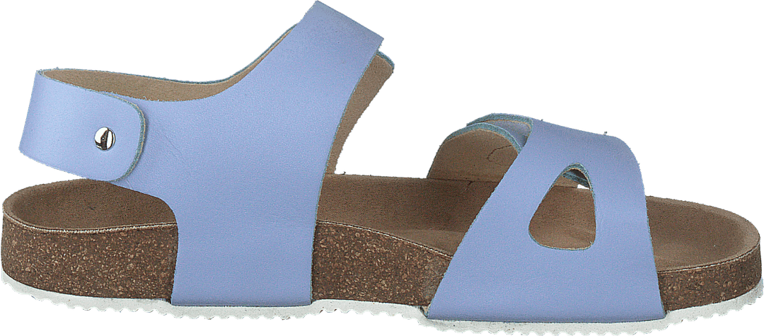 Bomhus Xc Violett