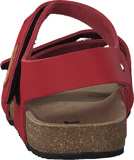 Bomhus Xc Rot