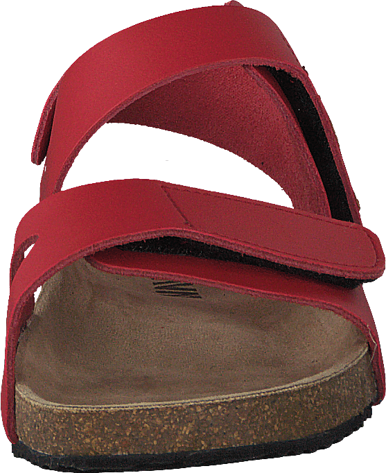 Bomhus Xc Rot