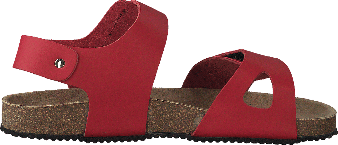 Bomhus Xc Rot