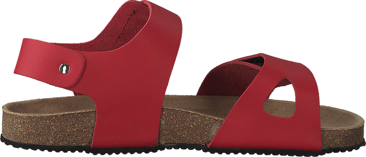 Bomhus Xc Rot