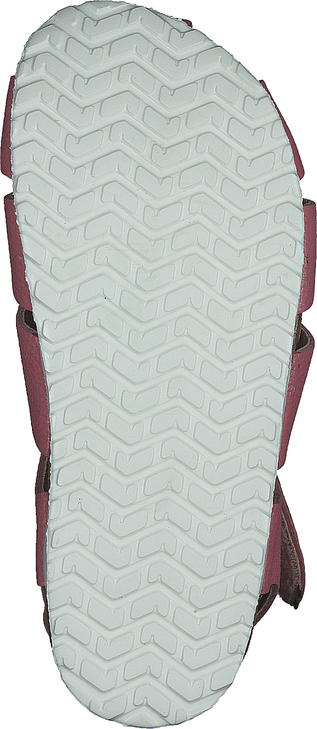 Gopshus Ep Albicocca Brandizzata