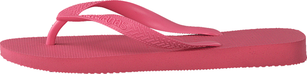 Top Pink Porelain