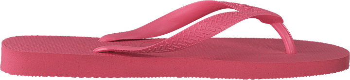 Top Pink Porelain