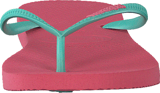 Slim Logo Pop Up Porcelain /rose Green