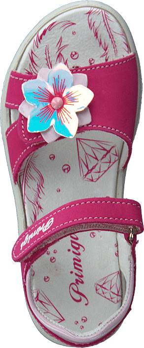 Pbr 53835 Lampone