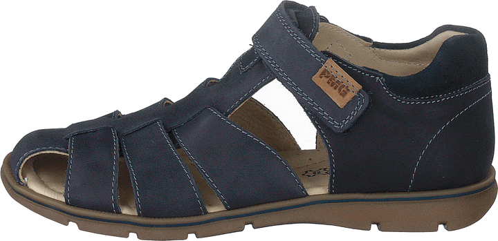 Pfp 5421 Blue