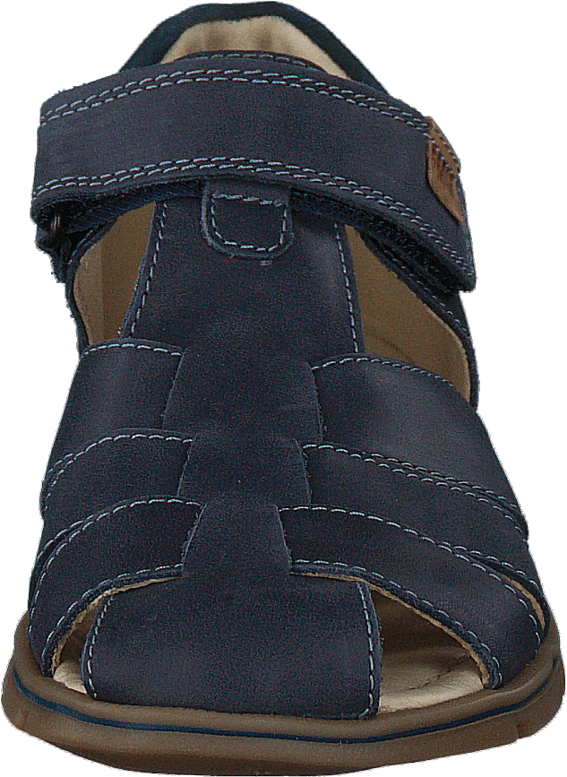 Pfp 5421 Blue