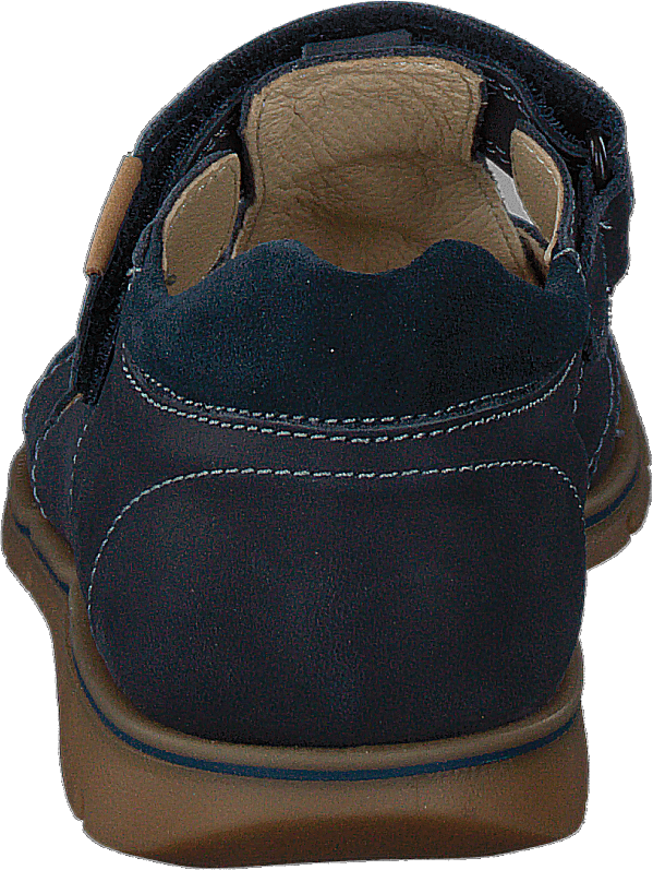 Pfp 5421 Blue